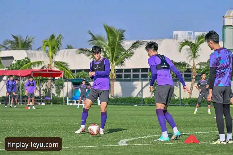 乐鱼体育平台新手入门：从官网下载到流畅观赛全教程
